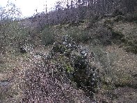 nte Cagliato-20110220 066